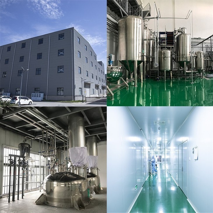 Aloin(A+B) suppliers