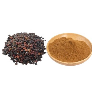 Hovenia Dulcis Ekstrakto